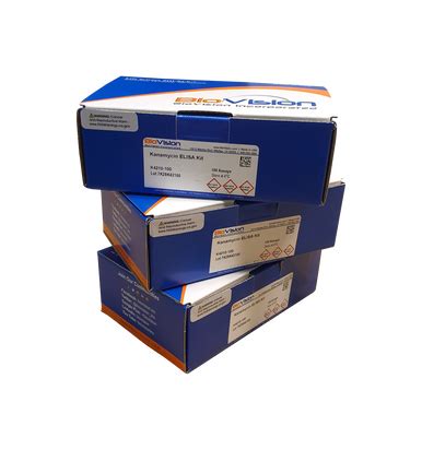 kit elisa kanamycin|Kanamycin ELISA Kit (ab287806/K4210.